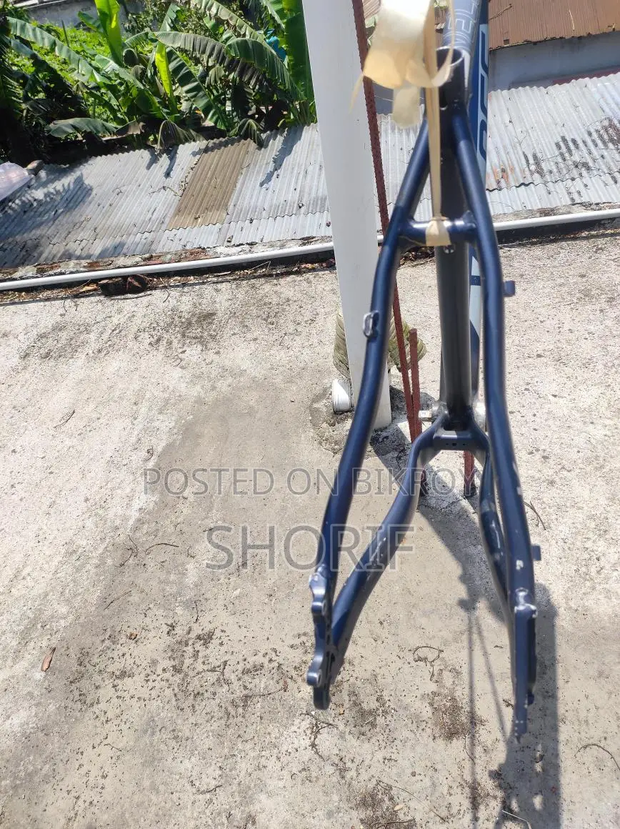 Cycle Frame