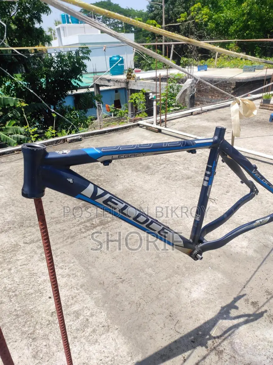Cycle Frame