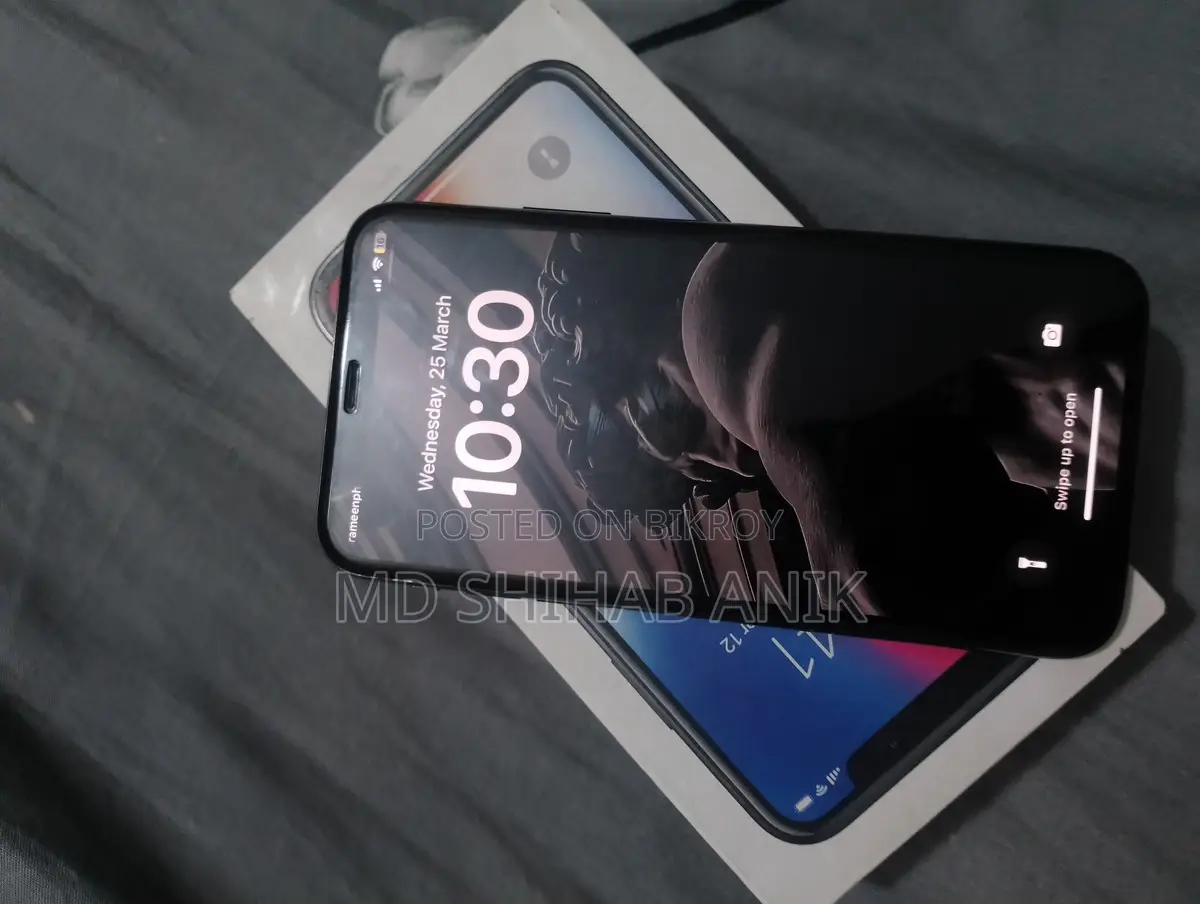 Apple iPhone X (Used)