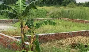 Land for Sell