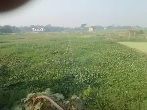 জমি বিক্রয় করা হবে