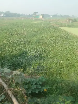 জমি বিক্রয় করা হবে