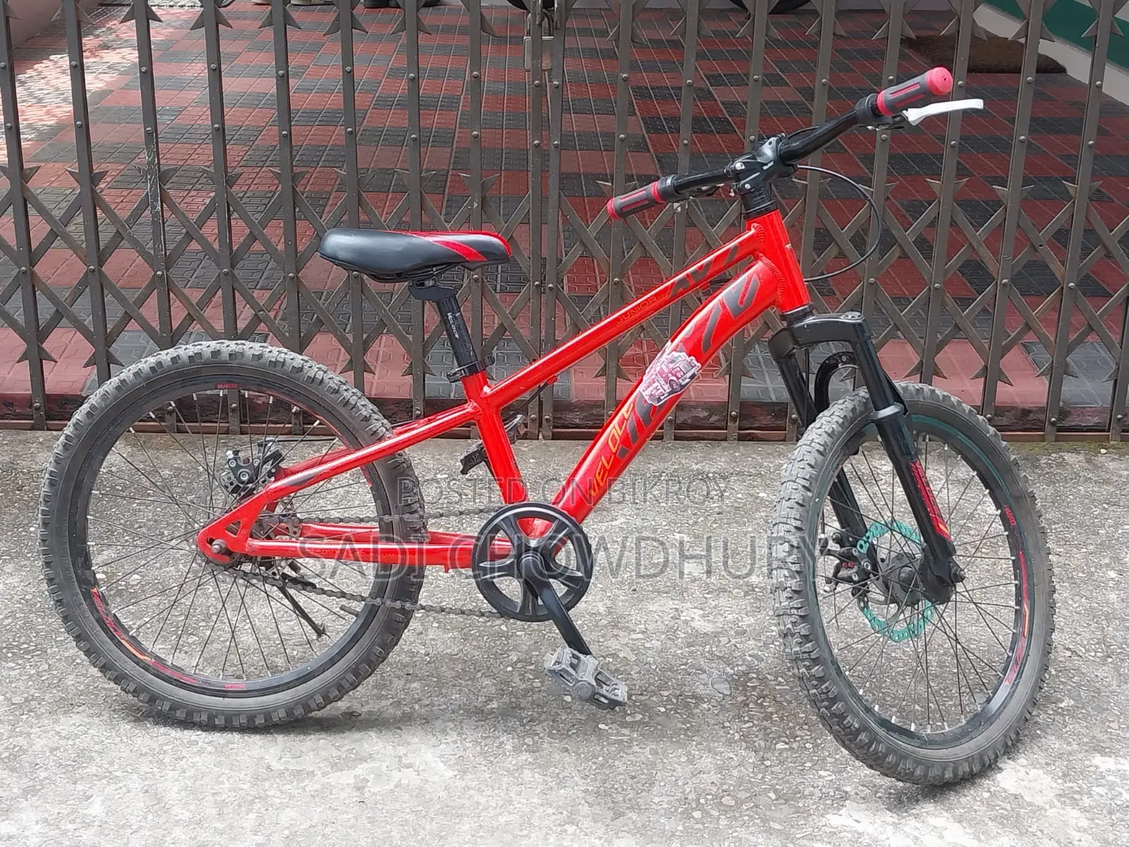 Used Phoenix Bicycle