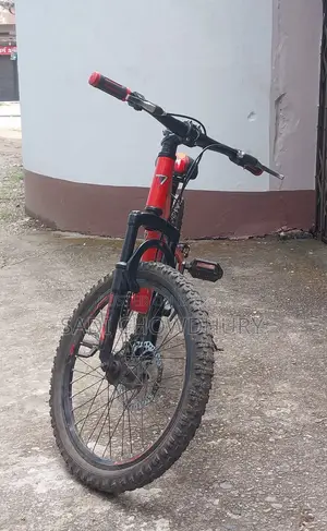 Used Phoenix Bicycle