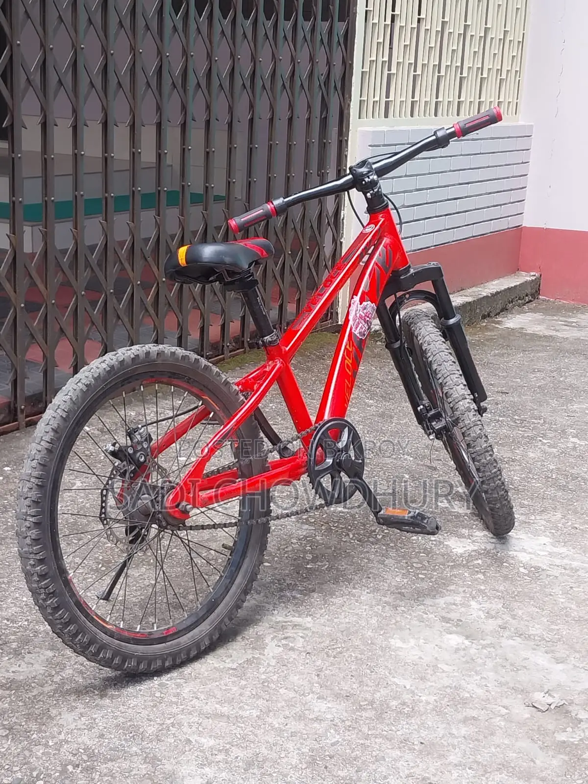 Used Phoenix Bicycle