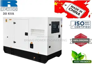 Heavy Duty 30kVA BPE Generator: Ricardo Series Engine