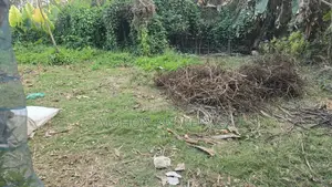 Highland Residential Land for Sale