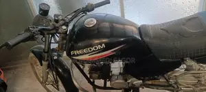 Freedom motorcycle 2010