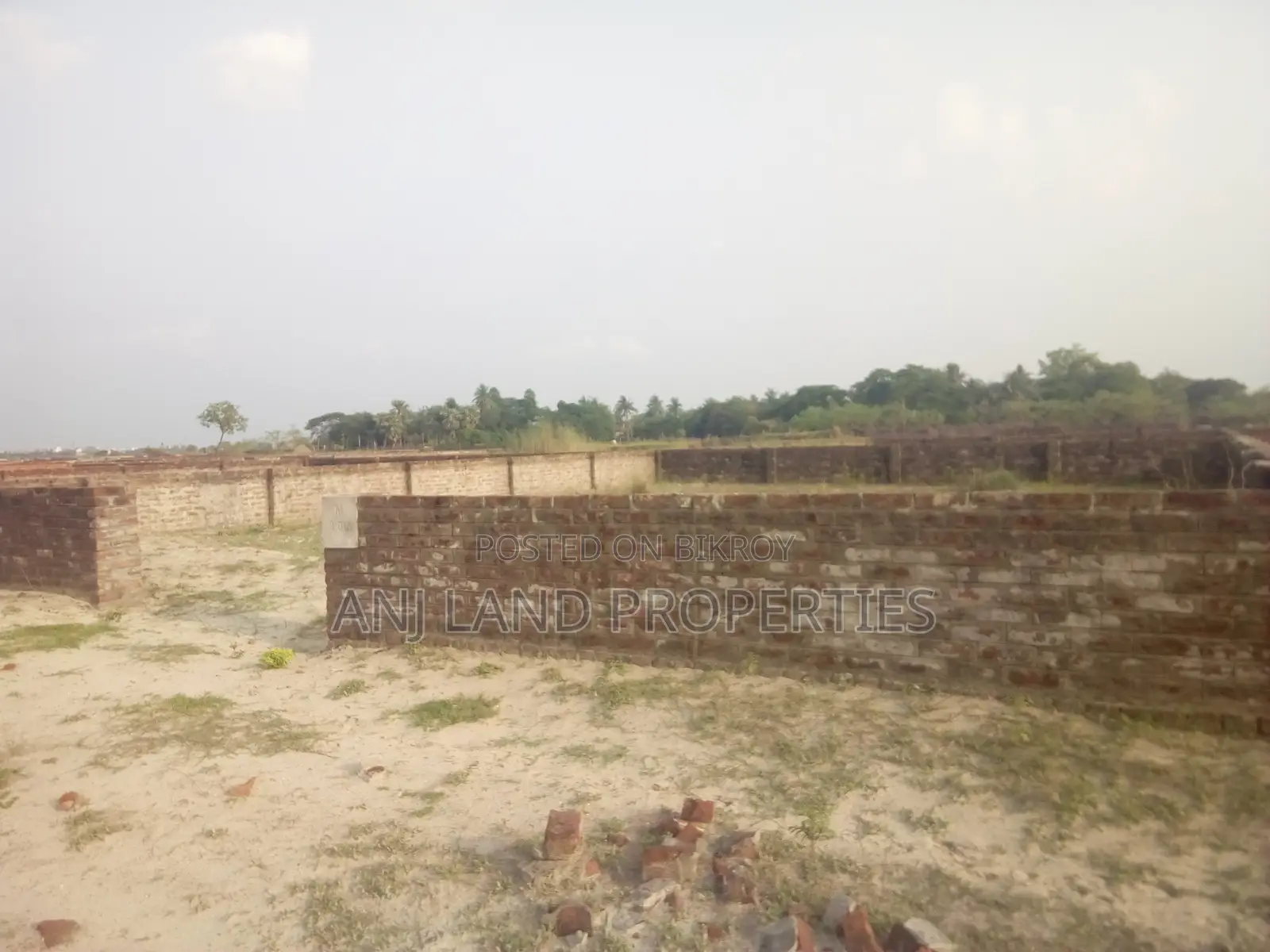 M-Block South Face 4-Katha Plot Sale