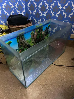 বড় আকারের ১৮ ইঞ্চি ফিশ অ্যাকোয়ারিয়াম
