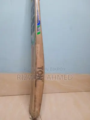 SS English Willow Cricket Bat