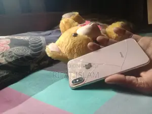 Apple iPhone X (Used)
