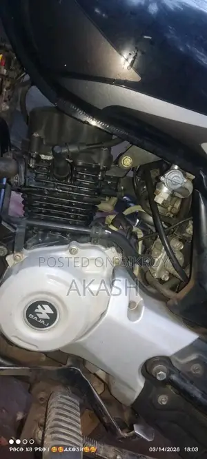 Bajaj Platina 100 . 2019