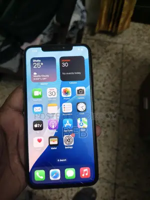 Apple iPhone XS Max 64 GB White