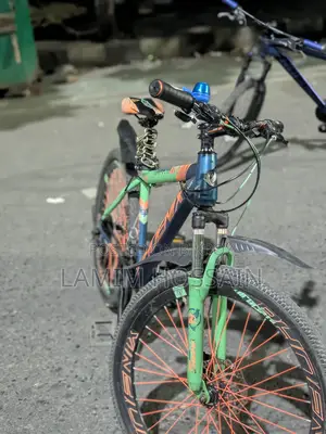 Phoenix Bicycle for Sale