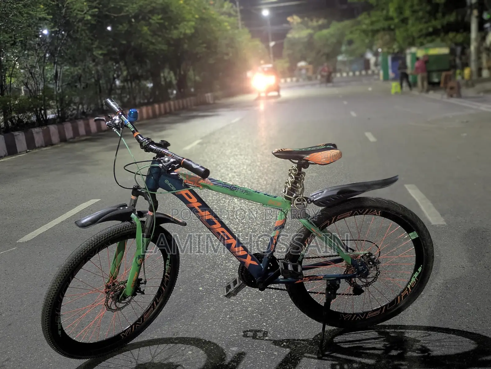 Phoenix Bicycle for Sale