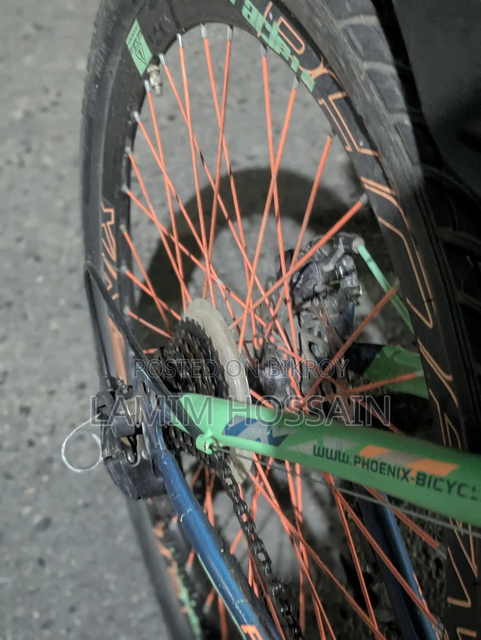 Phoenix Bicycle for Sale