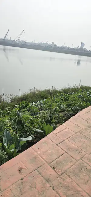 রাজউক পূর্বাচল সেক্টর-২৪ লেক সাউথ ফেসিং প্লট বিক্রয়