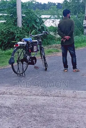 Electric cycle