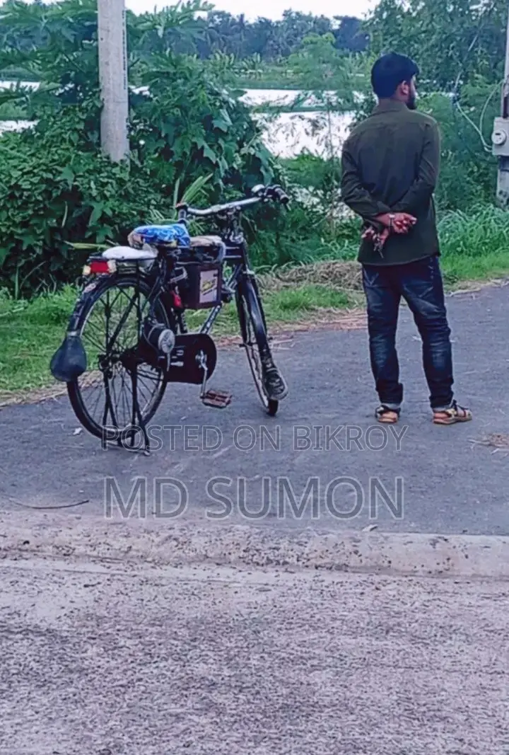 Electric cycle