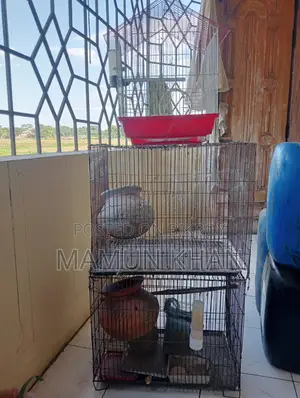 খাঁচা বিক্রি হবে