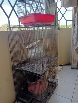খাঁচা বিক্রি হবে