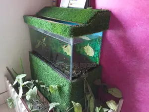 Aquarium Full Setup 30"x15"