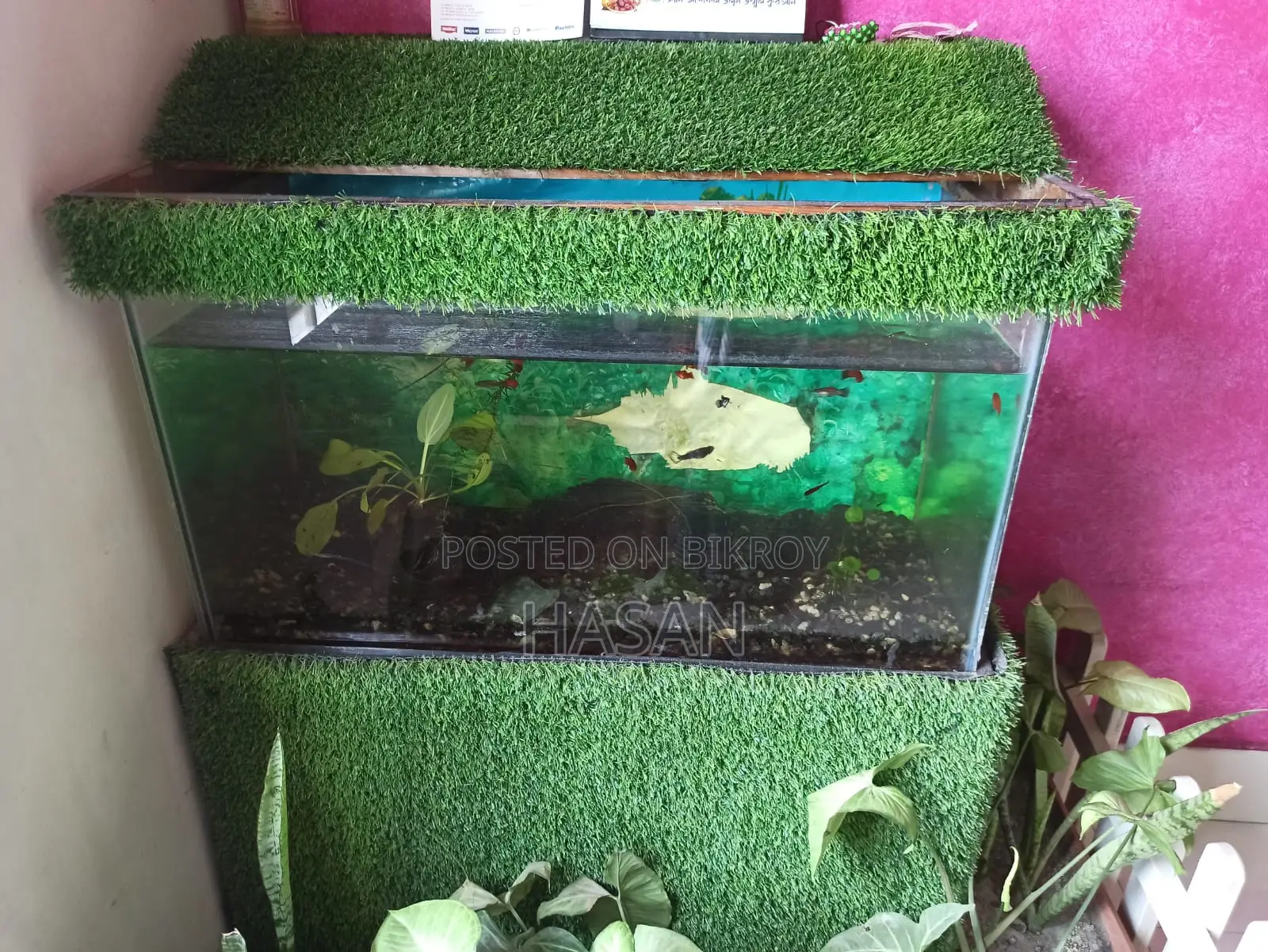 Aquarium Full Setup 30"x15"