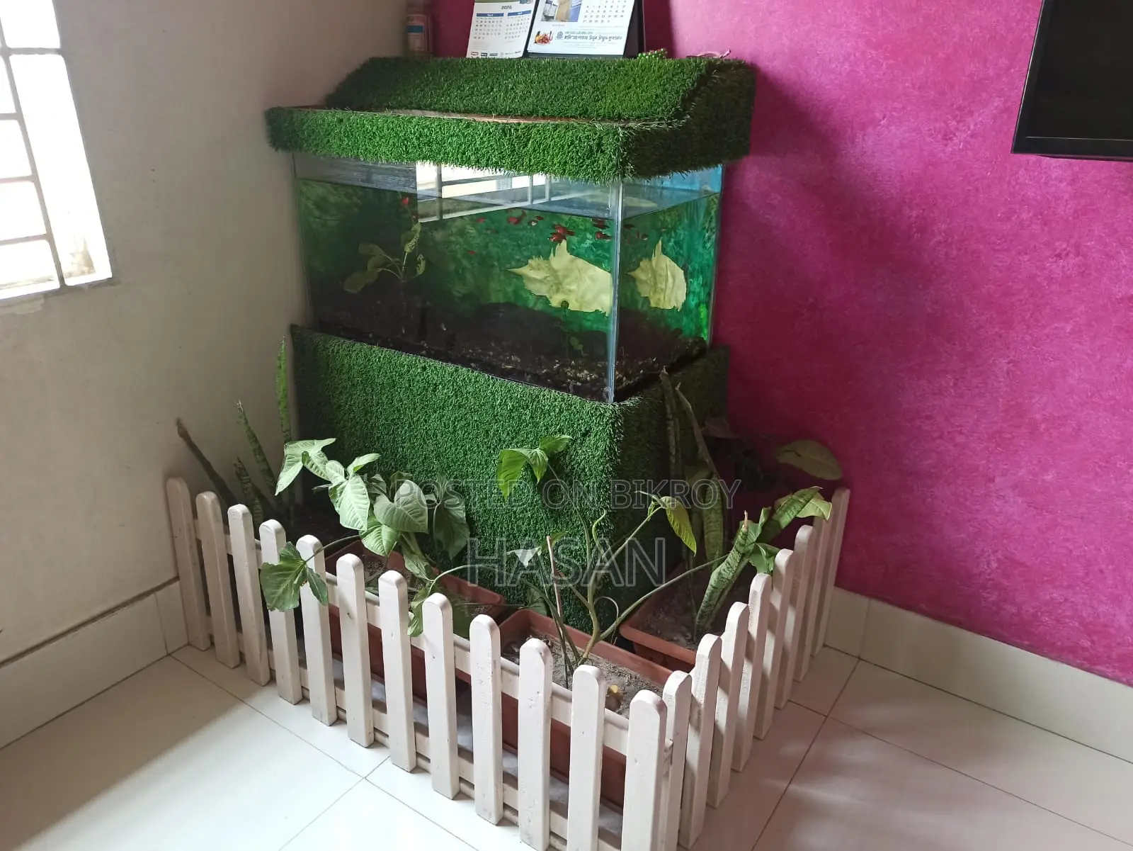 Aquarium Full Setup 30"x15"