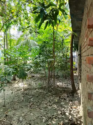 তিনটি ছাদের রুমসহ সাড়ে পাঁচ শতক জমি বিক্রয়
