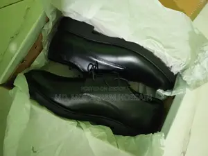 Apex Official Shoes