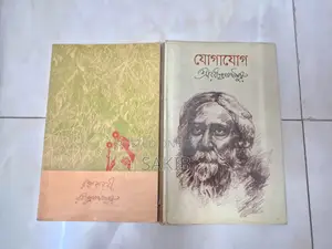 Novel