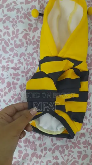 Cat Clothing