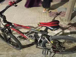 Phoenix Bicycle for sale