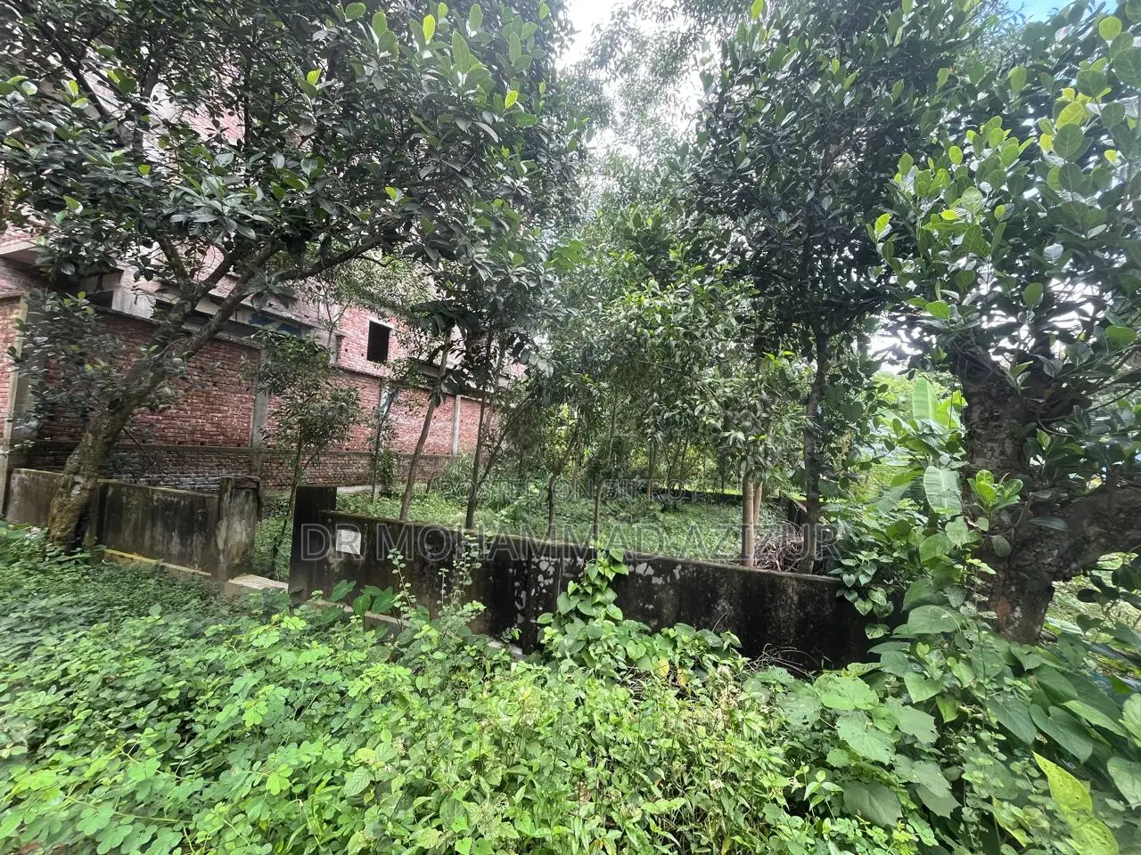 Plot for sale in BCSIR Co-operative Housing Society, Savar