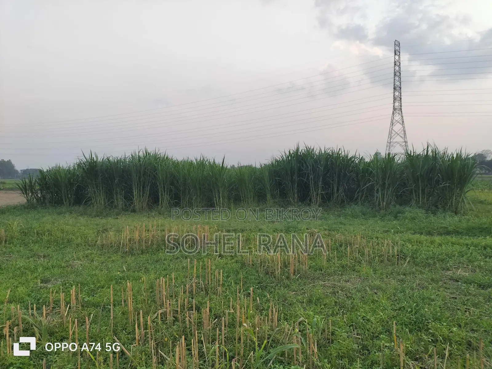 Agricultural Land For Sale – At An Affordable Price!