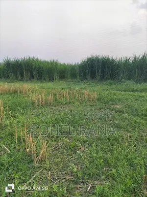 Agricultural Land For Sale – At An Affordable Price!