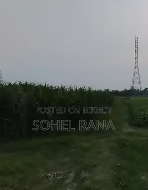 কৃষি জমি বিক্রি হবে – সুলভ মূল্যে!