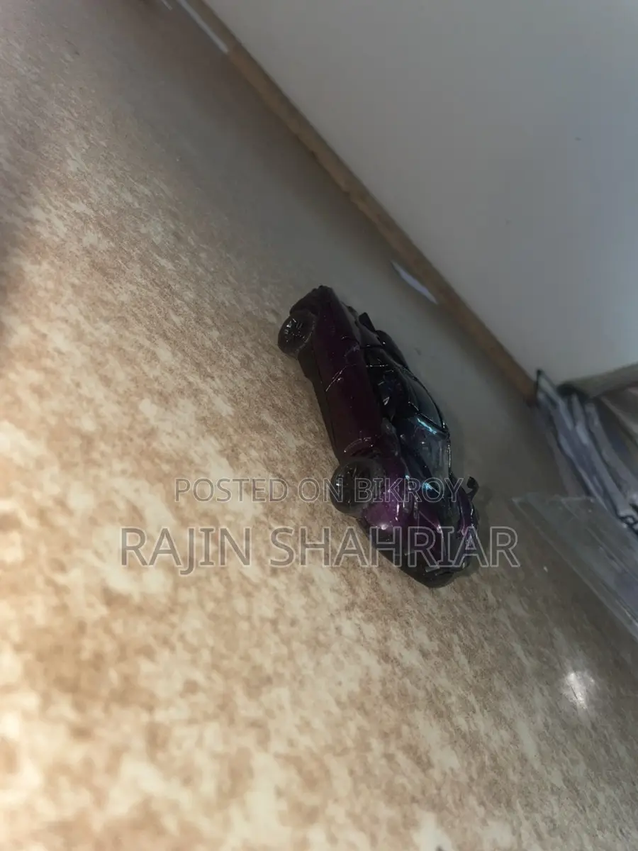 Pagani মেটাল স্কেল মডেল