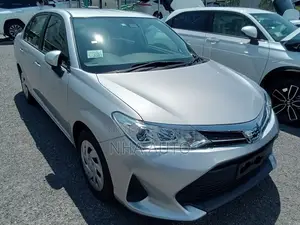 Toyota Axio EX NON HYBRID 2020