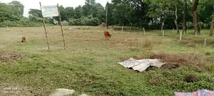 20 কাঠা জমি - ৪ লেনের কাছে পূর্বাচল ঢাকা।