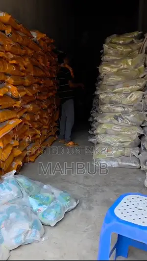 Cat Litter