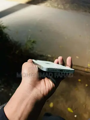Apple iPhone 12 (Used)