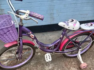 Phoenix bicycle