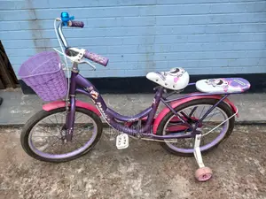 Phoenix bicycle