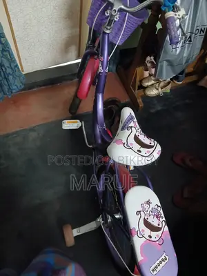 Phoenix bicycle