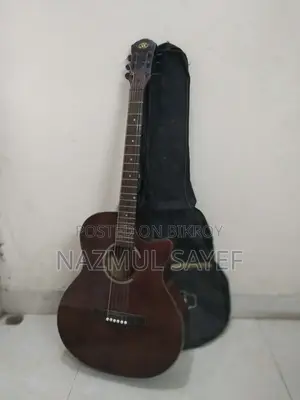 Sx Orginal Accoustic Guiter