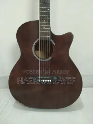 SX Original Acoustic Guitar