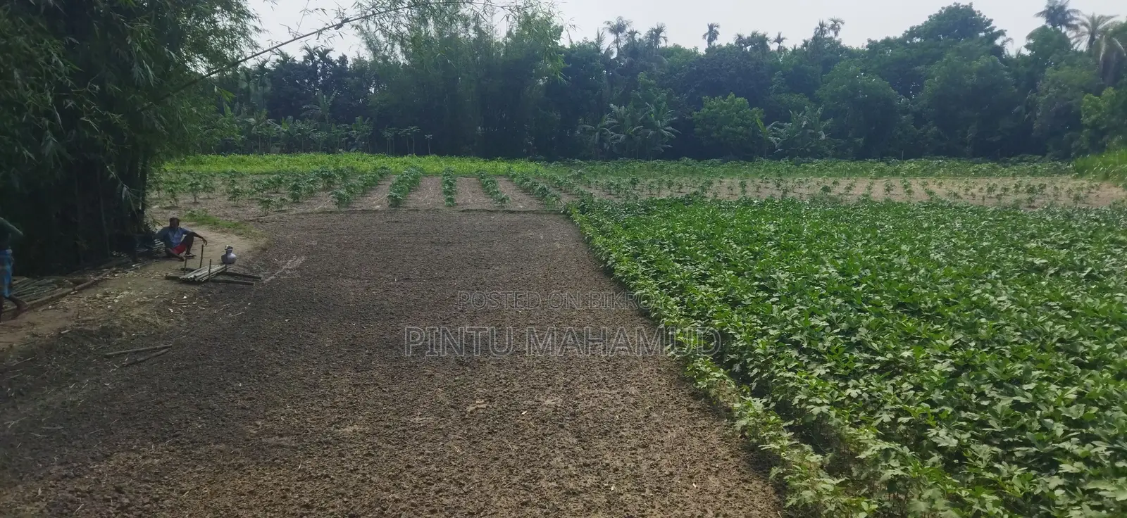 জমির বিবরণ: