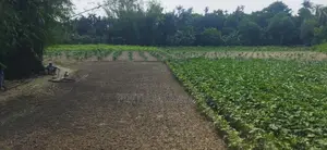 জমির বিবরণ: